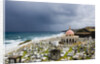 San Juan Cemetery by Anonymous