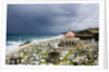San Juan Cemetery by Anonymous