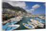 Port and Village of Marina Grande by Anonymous