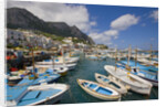 Port and Village of Marina Grande by Anonymous