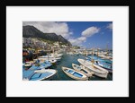 Port and Village of Marina Grande by Anonymous