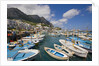 Port and Village of Marina Grande by Anonymous
