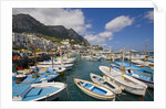 Port and Village of Marina Grande by Anonymous