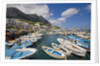 Port and Village of Marina Grande by Anonymous