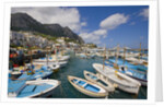 Port and Village of Marina Grande by Anonymous