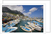 Port and Village of Marina Grande by Anonymous