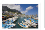 Port and Village of Marina Grande by Anonymous