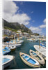 Port and Village of Marina Grande by Anonymous