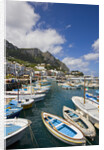 Port and Village of Marina Grande by Anonymous
