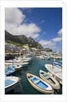 Port and Village of Marina Grande by Anonymous