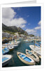 Port and Village of Marina Grande by Anonymous