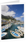 Port and Village of Marina Grande by Anonymous