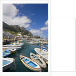 Port and Village of Marina Grande by Anonymous