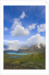 Cuernos del Paine Peaks by Anonymous
