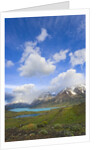Cuernos del Paine Peaks by Anonymous