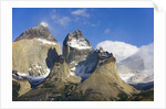 Rugged and Misty Cuernos del Paine Peaks by Anonymous