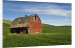 Red Barn in Palouse Country by Anonymous