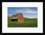 Red Barn in Palouse Country by Anonymous