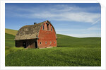 Red Barn in Palouse Country by Anonymous