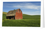 Red Barn in Palouse Country by Anonymous