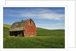 Red Barn in Palouse Country by Anonymous
