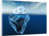 Melting Iceberg by Anonymous