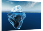 Melting Iceberg by Anonymous