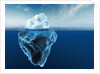 Melting Iceberg by Anonymous