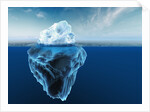 Melting Iceberg by Anonymous