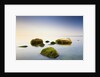 Rocks in Shallow Water of Baltic Sea by Anonymous