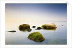 Rocks in Shallow Water of Baltic Sea by Anonymous