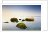 Rocks in Shallow Water of Baltic Sea by Anonymous