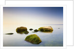 Rocks in Shallow Water of Baltic Sea by Anonymous
