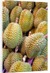 Durian at Tai Po Market in Hong Kong by Anonymous