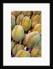 Durian at Tai Po Market in Hong Kong by Anonymous