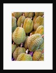 Durian at Tai Po Market in Hong Kong by Anonymous