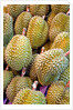 Durian at Tai Po Market in Hong Kong by Anonymous