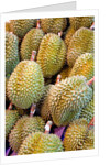 Durian at Tai Po Market in Hong Kong by Anonymous