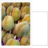 Durian at Tai Po Market in Hong Kong by Anonymous