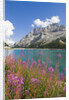 Fedaia Lake and Marmolada by Anonymous