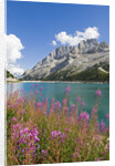 Fedaia Lake and Marmolada by Anonymous