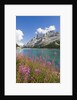Fedaia Lake and Marmolada by Anonymous