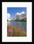 Fedaia Lake and Marmolada by Anonymous