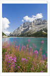 Fedaia Lake and Marmolada by Anonymous