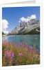 Fedaia Lake and Marmolada by Anonymous