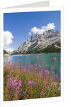 Fedaia Lake and Marmolada by Anonymous