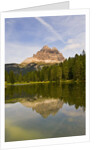 Tre Cime di Lavaredo Reflected on Lago dei Cirmoli by Anonymous