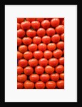 Tomatoes at Boqueria Market in Barcelona by Anonymous