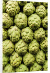 Artichokes at Boqueria Market in Barcelona by Anonymous