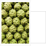 Artichokes at Boqueria Market in Barcelona by Anonymous